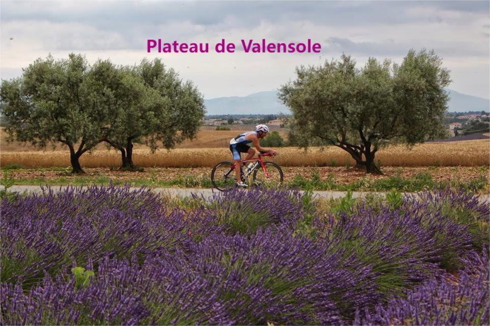 Coeur De Ville, T2, Rue Pietonne, Digne Les Bains Εξωτερικό φωτογραφία